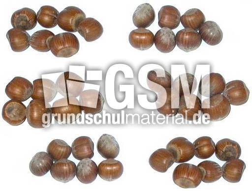 Haselnüsse-6x7.jpg